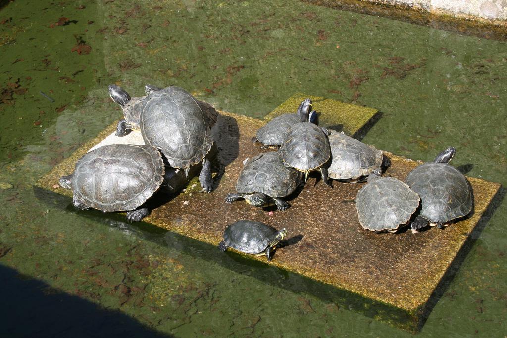Quinta Das Quintas & Spa Байан Экстерьер фото