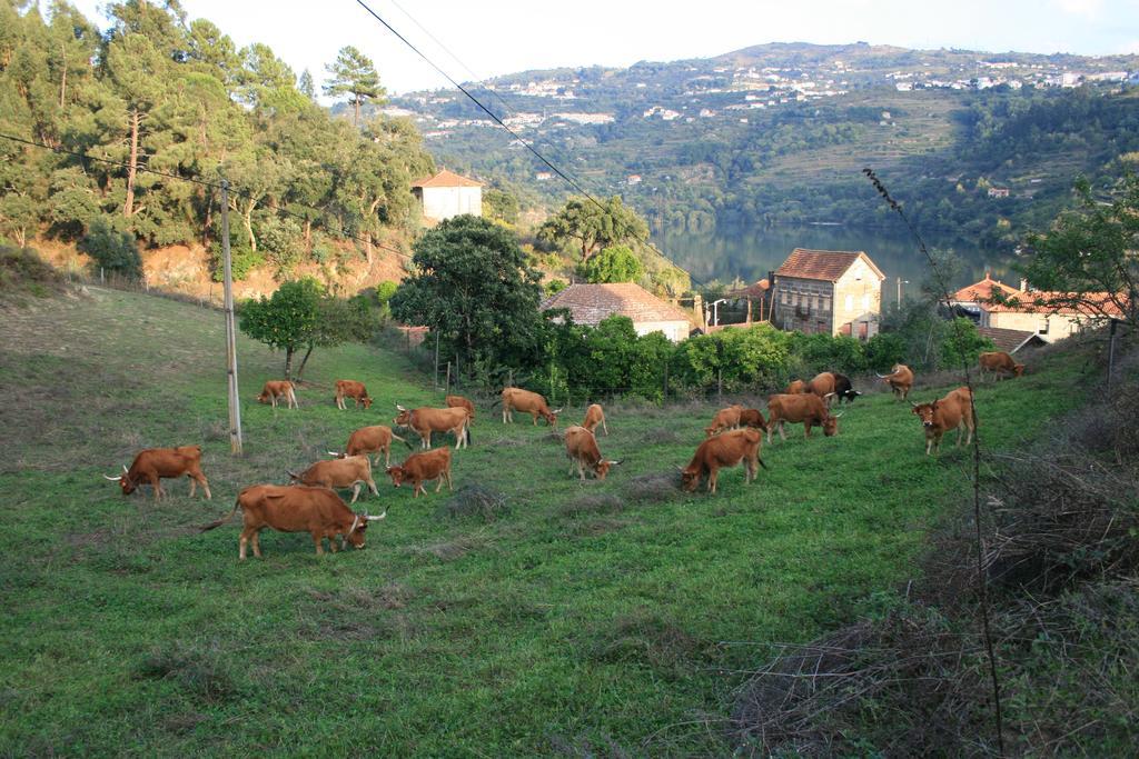 Quinta Das Quintas & Spa Байан Экстерьер фото